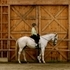 Athletic 10 yr Reg TB Mare 
