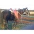 Smooth Gaited