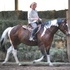 Mr PERSONALITY - WP or HUS or TRAILS