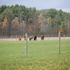 200 acre Adirondack Horse Farm 