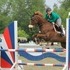 Warmblood Juniour Jumper-Winner