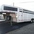 EBY SHOW CATTLE 8X24