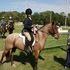 Super Cute Medium Roan Pony
