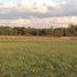 Beautiful 5 Acres