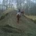 16 /QH /Tripp