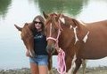 REASONABLE OFFERS CONSIDERED  MARE & 2012 FOAL