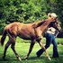 Never Enuffchocolate registered AQHA 2 year old mare