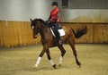 PSG Schoolmaster ready to show or teach!
