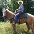 Nice Little Palomino Gelding