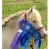 Cremello Miniature Stallion