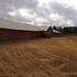 Liquidating Ranch/Auction May 18 #1145