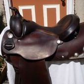 Circle Y 15 1/2 Arabian Softee Saddle w Silver