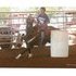 REDUCED...BARREL RACING QUEEN!!! QUARTER PONY!