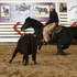STANDING AT STUD