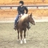 Flashy mare with 90 days training