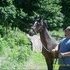 HE'S A NICE 2YR OLD STALLION,