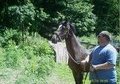 HE'S A NICE 2YR OLD STALLION,