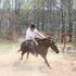 **SUPER quick ranch gelding**