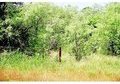 137 Acres
