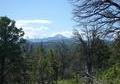 Adams Ranch