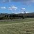Gurley Canyon Ranch