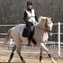 Big Comfortable Gaits