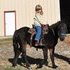 Sweet and easy !   Good for kids to ride &/or show!