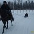 BLACK Bay Childrens horse