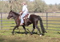 Kiger Mustang mare