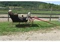 Antique Sleigh