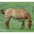 Great project horse!