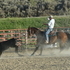 Riding, Roping, Shooting !
