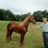 Flashy future champion colt