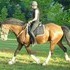 Handsome, big hearted, steady-eddy kind of guy!