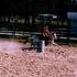 APHA Barrel/Playday Mare 