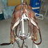 Cutting Saddle Hand Made