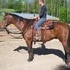 Handy Broke Ranch Gelding
