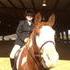 Gelding Available For Full Lease