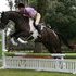 Oldenburg/TB Cross (Art Decco)