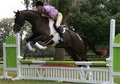 Oldenburg/TB Cross (Art Decco)