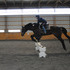 *Make an Offer* Kid Safe Thoroughbred Gelding