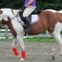 Beautiful & Quiet Mare for Lease
