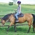 Broke Buckskin! VERY UNIQUE!