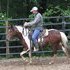 Herd Dispersal