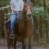 Lovely Bay Mare