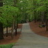 Milton Georgia Gem 6.4 +/- acres