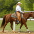 Own son of CD LIGHTS
