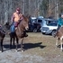 Gaited trail mule