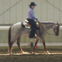 Nice Reg Red Roan mare!