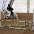 Talented Medium Pony